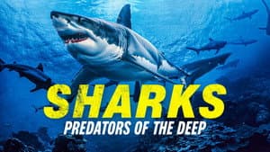 Sharks: Predators of the Deep — foto 1
