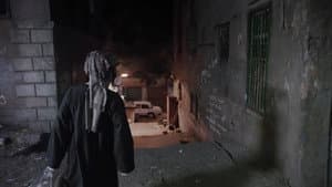 القط — foto 1