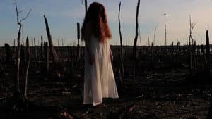 The Girl in the Cornfield — foto 1