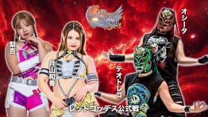 第15回 ゴッデス・オブ・スターダム ～タッグリーグ戦～ in MATSUMOTO — foto 6