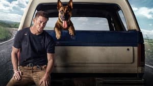 Dog: Un viaje salvaje — foto 10