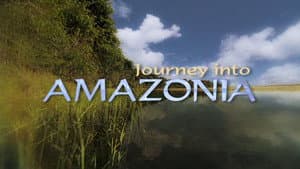 Journey Into Amazonia — foto 1