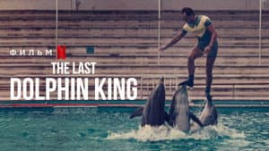 ¿Qué le pasó al rey de los delfines? — foto 4