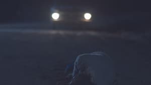 La noche adentro — foto 2