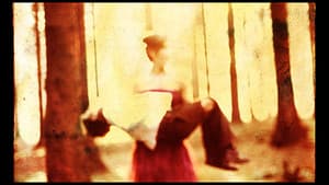 Porcupine Tree: Never Stop the Car on a Drive in the Dark — foto 1