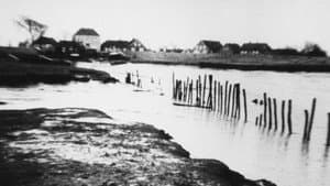 Am Siel — foto 1