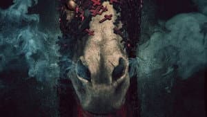 Horsehead — foto 1