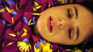 Violeta de mil colores — foto 1