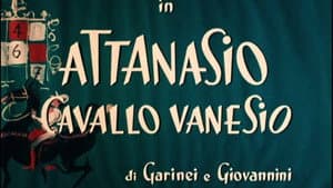 Attanasio cavallo vanesio — foto 1