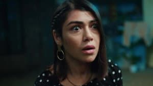 Episodio 560