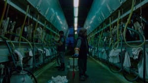 Mater inerta — foto 1