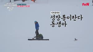 Episodio 5