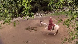 Episodio 7