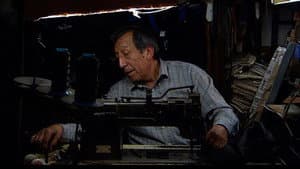 El olvido — foto 2