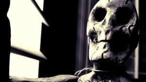 After the Flesh — foto 1
