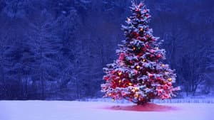 Canto di Natale — foto 1