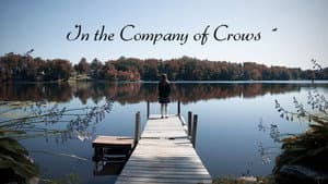 In the Company of Crows — foto 1