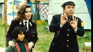 Il vigile urbano — foto 1