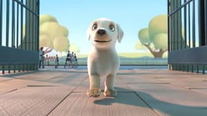 Pip — foto 10
