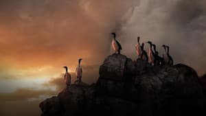 Wild Peru: Andes Battleground — foto 2