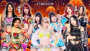 第15回 ゴッデス・オブ・スターダム ～タッグリーグ戦～ in MATSUMOTO — foto 5
