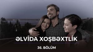 Episodio 36
