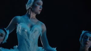 Swan Song — foto 3