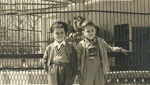 אין אריות בתל אביב — foto 2