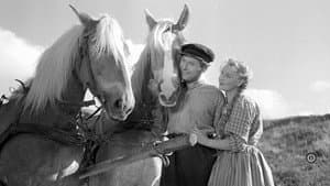 Husmandstøsen — foto 1
