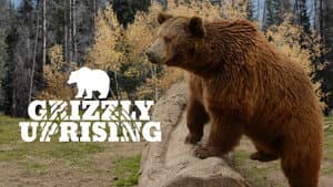 Grizzly Uprising — foto 3