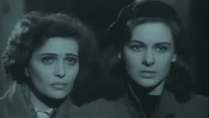 Persiane chiuse — foto 1