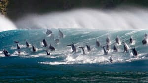 Oceans: Our Blue Planet — foto 2