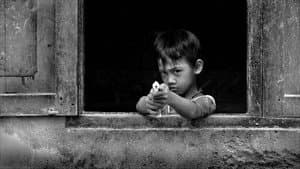 Halaman Belakang — foto 1