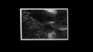 Grantham Overgrown (Infinite Regression) — foto 3