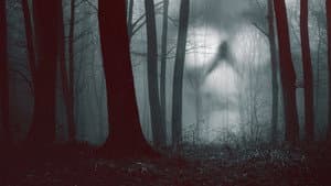 28 días paranormales — foto 1