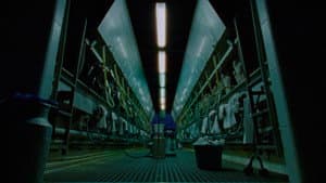 Mater inerta — foto 5