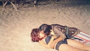قطط شارع الحمرا — foto 2