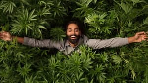 Weediquette — foto 2