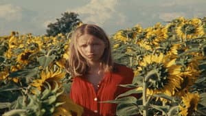 Alice et les Soleils — foto 2