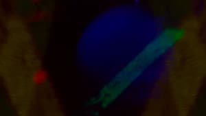 Universos — foto 2