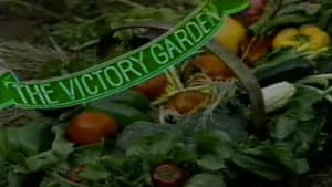 The Victory Garden: Vegetable Video — foto 1