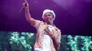Tyler, The Creator - Live: Call Me If You Get Lost — foto 2