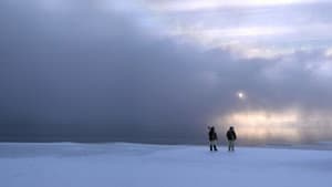 The Last Ice — foto 4