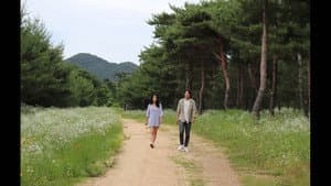 청산, 유수 — foto 2