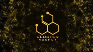 Cluster Agency — foto 1