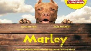 Marley — foto 1