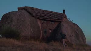 Eikasia — foto 7