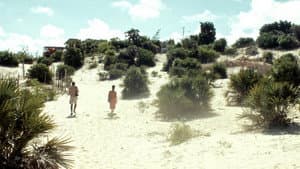 Echoes of Lamu — foto 7