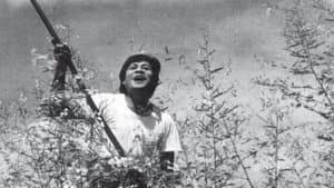 Cánh đồng hoang — foto 2