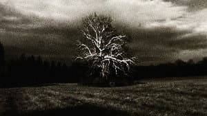 Landscape (for Manon) — foto 2